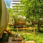 Dragonfly Gardens - The Wagons