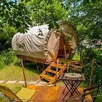 Dragonfly Gardens - The Wagons *