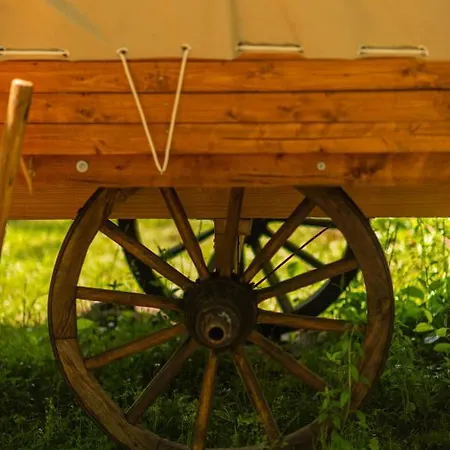 Dragonfly Gardens - The Wagons