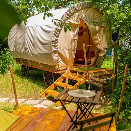 Dragonfly Gardens - The Wagons Brasov