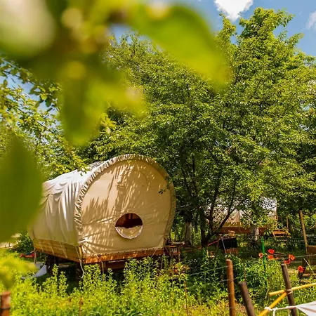 Luxury tent Dragonfly Gardens - The Wagons Brasov