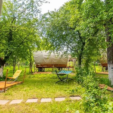 Dragonfly Gardens - The Wagons Luxury tent