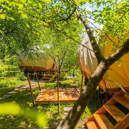Dragonfly Gardens - The Wagons Brasov