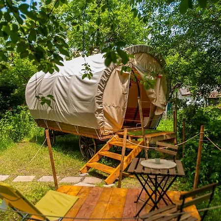 Dragonfly Gardens - The Wagons *