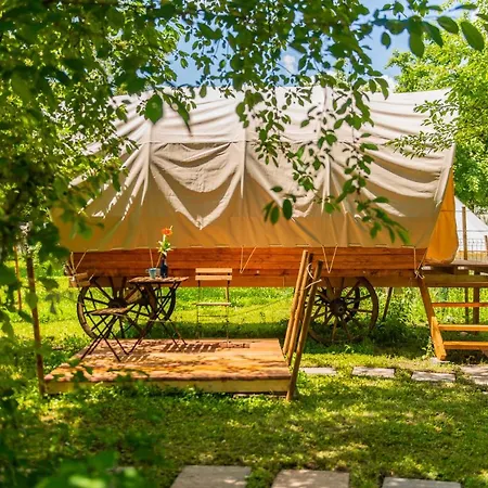 Dragonfly Gardens - The Wagons *