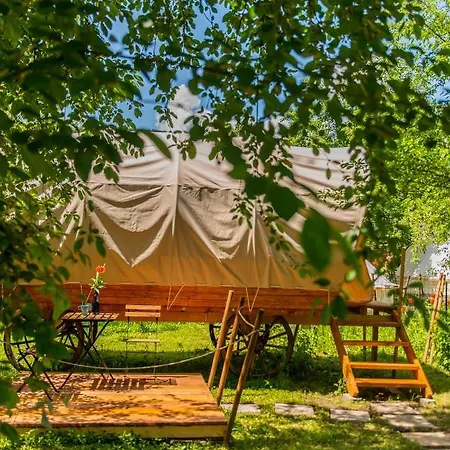 Dragonfly Gardens - The Wagons