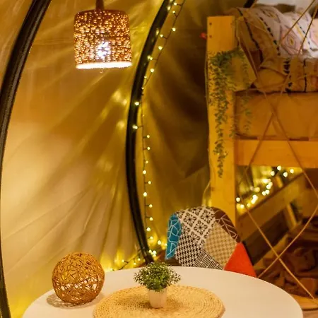Dragonfly Gardens - The Wagons * Brasov