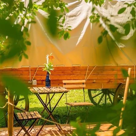 Dragonfly Gardens - The Wagons Cort de lux *