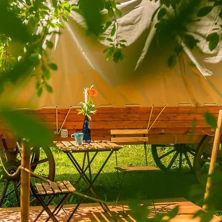 Luxury tent Dragonfly Gardens - The Wagons *