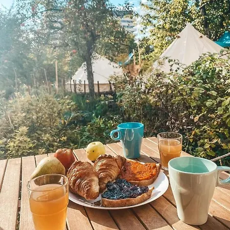 Tente de luxe Dragonfly Gardens - The Wagons *