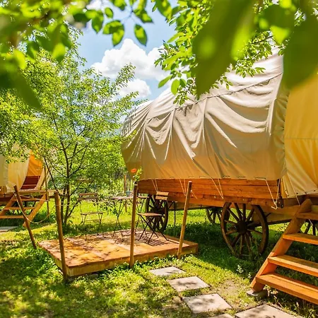 Dragonfly Gardens - The Wagons *