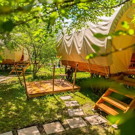 Dragonfly Gardens - The Wagons Luxury tent *