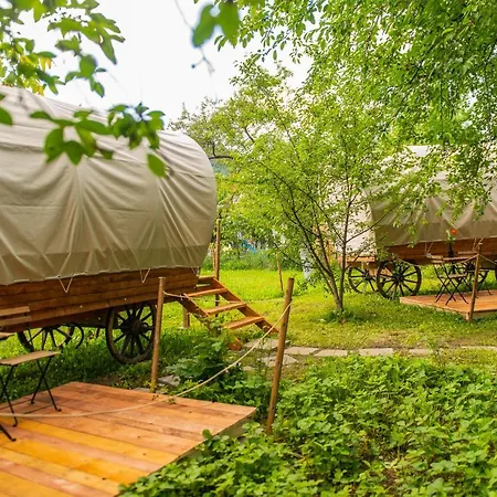 Dragonfly Gardens - The Wagons *