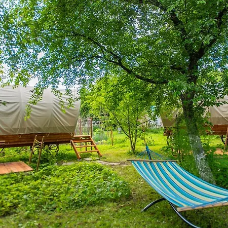 Glamping Dragonfly Gardens - The Wagons Braşov