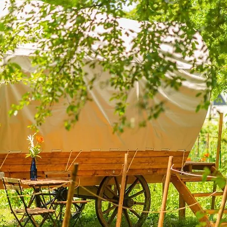 Dragonfly Gardens - The Wagons Glamping