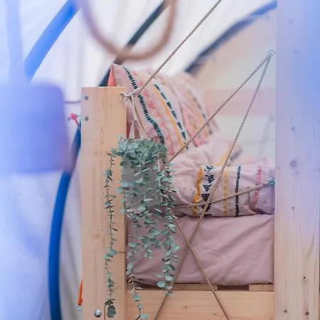 Dragonfly Gardens - The Wagons Tente de luxe *