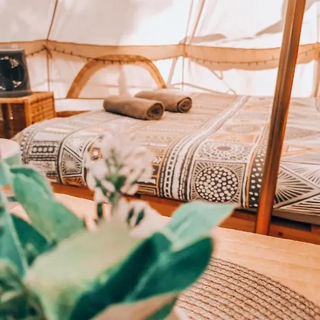 Dragonfly Gardens - The Wagons * Braşov