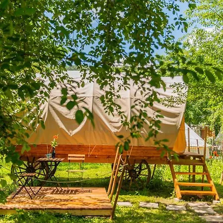 Dragonfly Gardens - The Wagons