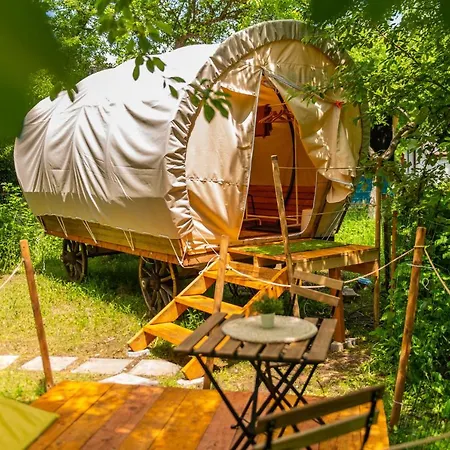 Dragonfly Gardens - The Wagons