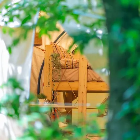 Dragonfly Gardens - The Wagons Luxury tent *