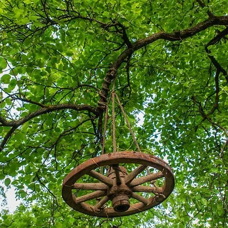 Dragonfly Gardens - The Wagons Luxury tent Brasov
