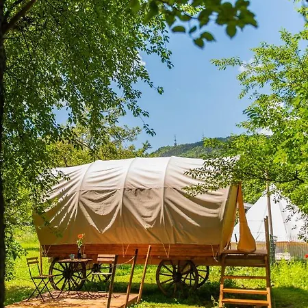 Dragonfly Gardens - The Wagons *