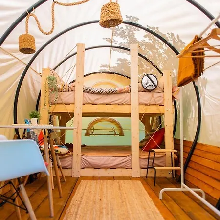 Dragonfly Gardens - The Wagons * Brasov