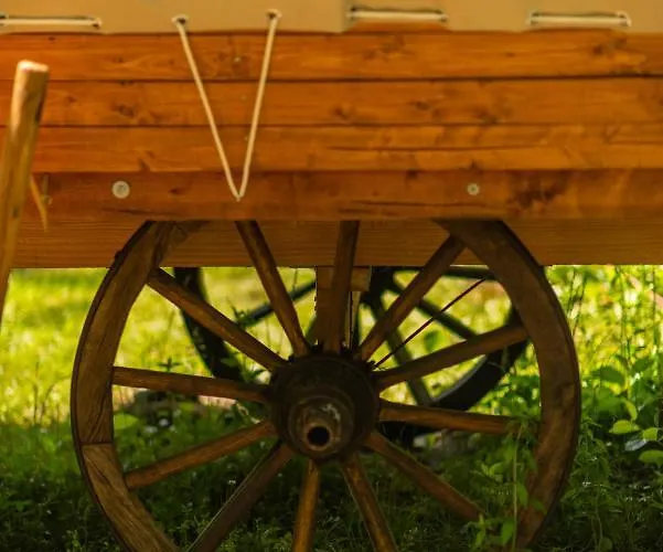 Dragonfly Gardens - The Wagons