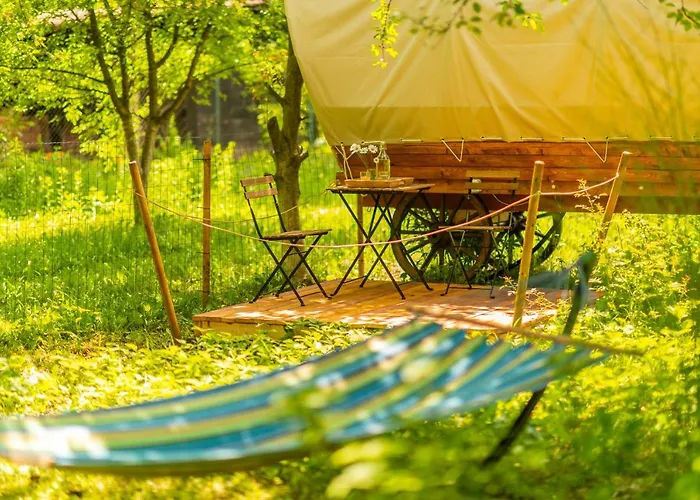 Dragonfly Gardens - The Wagons