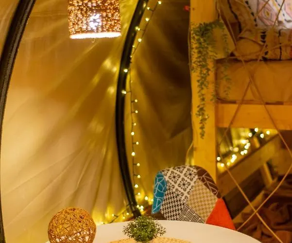 Dragonfly Gardens - The Wagons * Braşov