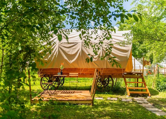 Dragonfly Gardens - The Wagons Glamping Braşov