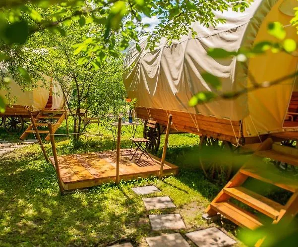 Dragonfly Gardens - The Wagons Glamping *