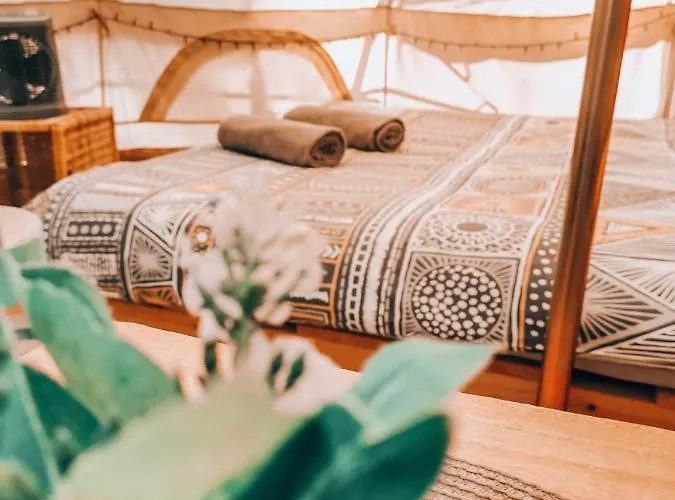 Dragonfly Gardens - The Wagons * Braşov